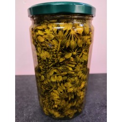 Grande Berce macérat