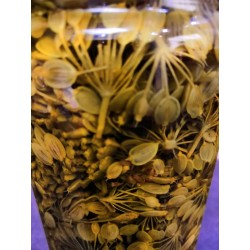 Grande Berce macérat