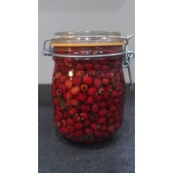 Aubépine Baies Macérat