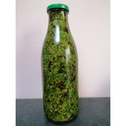 Cassis Bourgeon Macérat