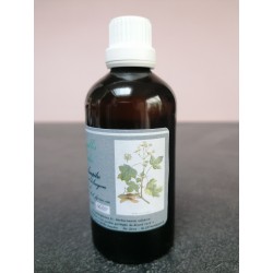 Érable Champêtre bourgeon flacon