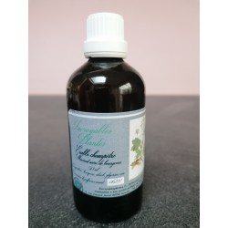 Érable Champêtre bourgeon flacon