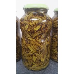 Macérat bourgeons cornouiller sanguin