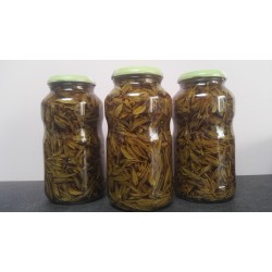 Macérat bourgeons cornouiller sanguin