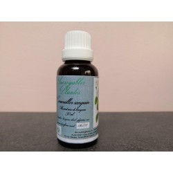 Flacon Macérat bourgeons cornouiller sanguin