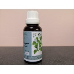 Flacon Macérat bourgeons cornouiller sanguin