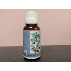 flacon macérat bourgeons d'aubépine