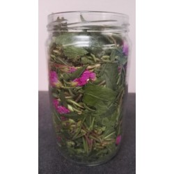 épilobe en épi bocal