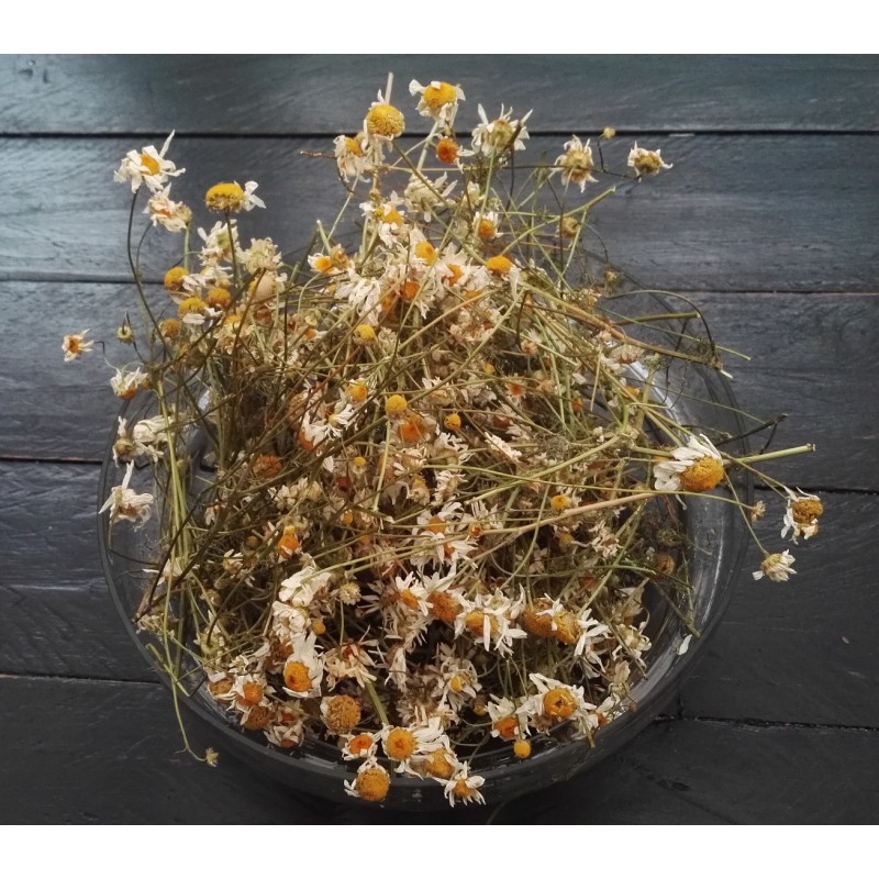 Fleurs de matricaire séchées
